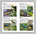 Guia de Identificação: Aves do Rio de Janeiro - Em preparação - Imagem 5