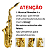 Sax Alto Konig Dourado Haste Simples – Completo e Pronto para Uso - Imagem 2
