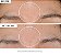 StriVectin Daily Reveal ™ Exfoliating Face Pads with AHA + BHA + PHA + TXA - Imagem 2