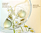Biossance  Squalane + Firm and Lift Hydrating Dual Serum with Hyaluronic Acid - Imagem 5