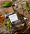 CLEAN RESERVE  Reserve - Sel Santal - Imagem 2