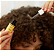 Ceremonia  Mini Bestsellers Hair Wellness Set - Imagem 2
