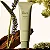Rare Beauty by Selena Gomez Woody Oak Rare Fragrance Layering Balm - Imagem 2