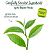 Bigelow Green Tea Classic, Tea Bags - Imagem 2