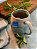 Bigelow Peppermint, Caffeine Free, Herbal Tea Bags - Imagem 2
