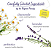 Bigelow Lavender Chamomile Plus Probiotics - Imagem 2