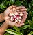 Tru Fru Freeze Dried Raspberries & Crème - Imagem 2