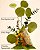 Aromatherapy Eucalyptus Spearmint - Imagem 2
