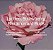 Touchland Blush Rose Glow Essence Body & Hair Fragrance Mist - Imagem 2