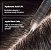 Act+Acre 2% Stem Cell Scalp Serum For Thicker-Looking Hair - Imagem 3