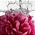 Athena Club All-Over Solid Deodorant - Petal Bloom - Imagem 3