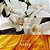 Athena Club Full Size Women's Hair & Body Mist - Amber Hours - Imagem 2