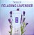 Secret Aluminum-Free Whole Body Cooling Deodorant Mist - Relaxing Lavender - Imagem 2