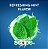 Crest Complete Plus Scope 3-In-1 Fluoride Whitening Liquid Gel Toothpaste - Imagem 2