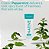 Native Premium Whitening Wild Mint & Peppermint Oil Fluoride Free Toothpaste - Imagem 2