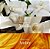 Athena Club Skin Perfecting Body Lotion - Amber Hours - Imagem 2