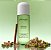 Philosophy Hair Body Perfume - Mist (Pistchio Paradise) - Imagem 1