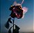 BYREDO Burning Rose Scented Candle - Imagem 3