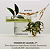 Tatcha The Brightening Eye Cream with Vitamin-C for Dark Circles - Imagem 2