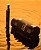 Commodity Gold + Bold Eau the Parfum - Imagem 3