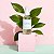 Herbivore Jasmine Green Tea Oil Control Toner - Imagem 3