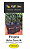 PROJETO BOLSA DORA M + VIDEO AULA NO FACEBOOK - Imagem 1