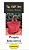 PROJETO BOLSA DORA G + VIDEO AULA NO FACEBOOK - Imagem 1