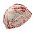 Touca Cirúrgica Feminina, Conchas e Corais traço Salmão, Bege - Imagem 4