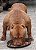 PIT MONSTER TYSON MONSTER GUETTO - Imagem 1