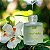 INTT SÉRUM ÍNTIMO DE VERBENA - BY LAURA MULLER - ÁCIDO HIALURÔNICO, ALOE VERA, LACTOBIO - 23G - Imagem 3