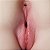 Crazy Lion Uterus - Masturbador Masculino formato Bunda com Vagina e Ânus - Imagem 2
