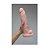 PÊNIS CYBERSKIN COM ESCROTO E VEIAS - 27 X 6 cm - COR BEGE - Imagem 6