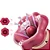 Mouth rotating tongue suction vibrator - vibrador Ponto G com Sucção e Língua Rotativa 360° - Imagem 5