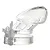 CC511 CB6000S — Cinto de Castidade Masculino Transparente com Design Anatômico e Encaixe em 3 Peças - Imagem 4