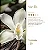 Perfume para Roupas 500ml | Vanilla - Imagem 3