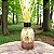 Difusor de Varetas 200ml | Green Wood - Imagem 2