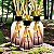 3 Difusor de Varetas 200ml | Floating Forest - Imagem 2