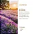 3 Home Spray 240ml | Lavanda - Imagem 3