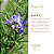 Home Spray 5L | Alecrim - Imagem 3