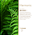 Difusor de Varetas Premium 250ml | Harmonic - Imagem 4