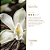 Perfume para Roupas Premium 150ml | Vanilla - Imagem 3