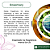 Sabonete Liquido - Rosemary 200ml - Imagem 3