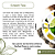 Sabonete Liquido - Green Tea 200ml - Imagem 3