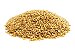 Semente linhaça dourada (Granel - preço/100g) - Imagem 1