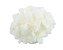 Coco laminado branco sem açúcar (Granel - preço/100g) - Imagem 1