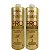 Royal Progressiva Pro Argan Oil Pro Active 2x1 Litro - Imagem 1