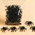 KIT DE ARANHAS - 10 UNIDADES - Imagem 1