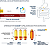 Icosacor - 90 % De Ômega 3 Epa  : 30 Cápsulas - Biobalance - Imagem 2