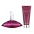 Conjunto Euphoria for Women Calvin Klein Eau de Parfum 100ml + Loção Corporal 100ml - Imagem 2