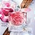 Lancôme La Vie Est Belle Rose Extraordinaire Eau De Parfum Perfume Feminino - Imagem 2